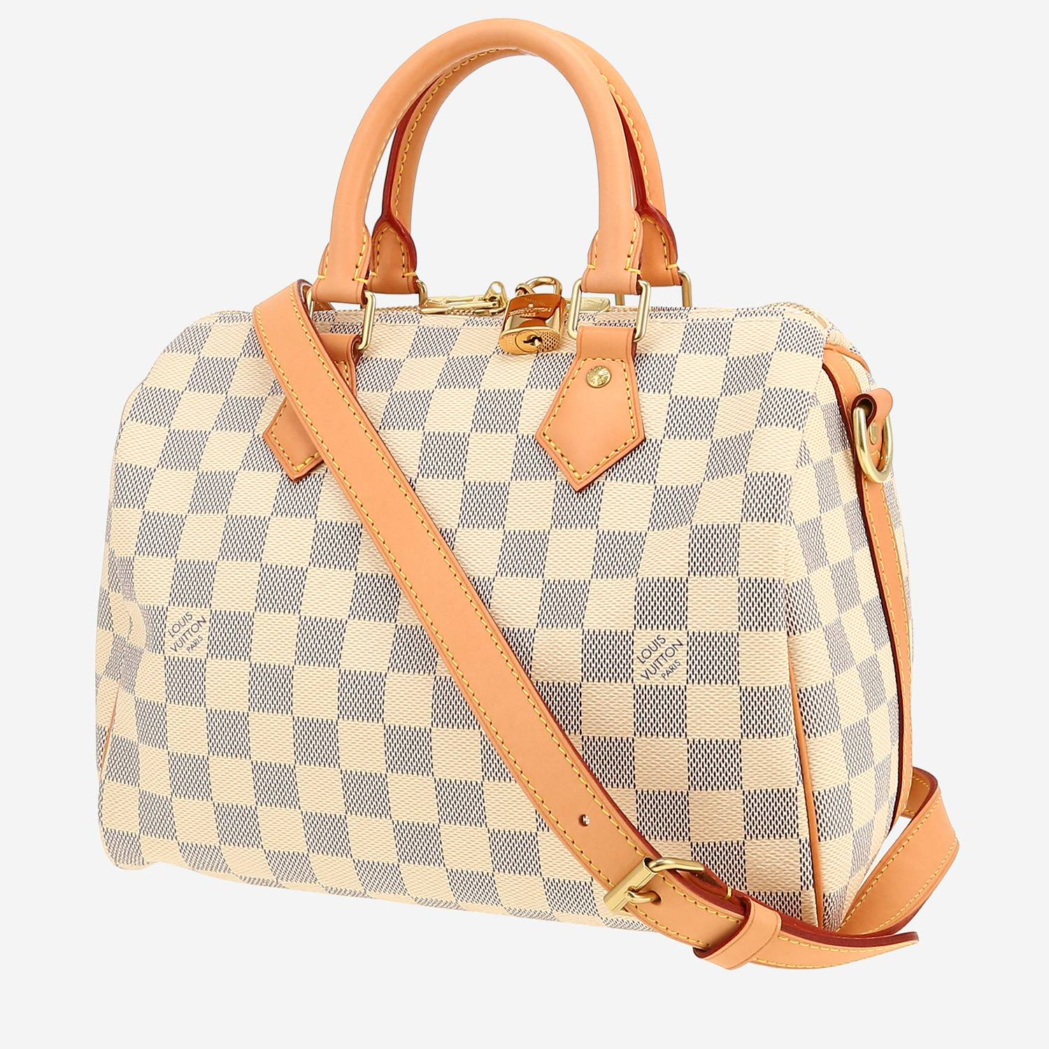 Louis Vuitton  Speedy 25 handbag  in azur damier canvas  and natural leather