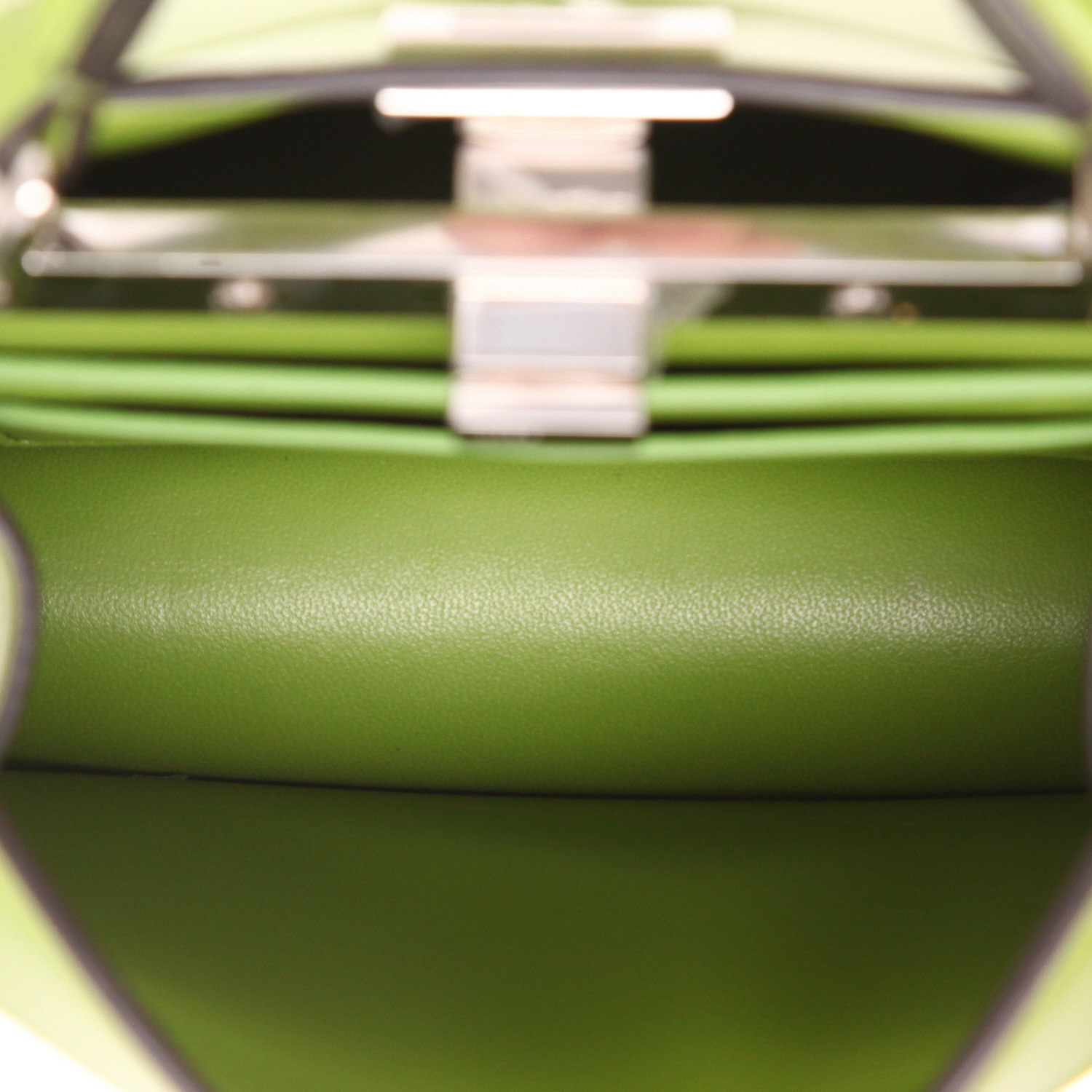 Sac à main Fendi  Peekaboo ISeeU en cuir vert - Detail D3