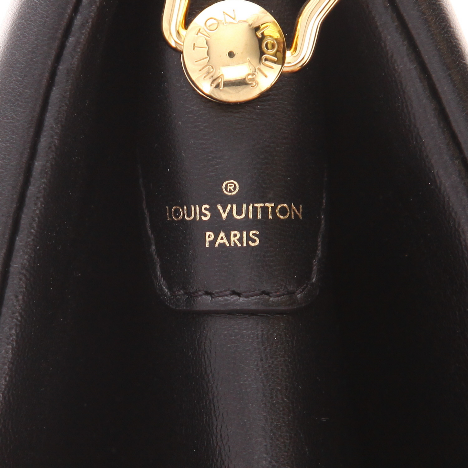 Borsa a tracolla Louis Vuitton  Coussin modello piccolo  in pelle monogram con stampa nera - Detail D2