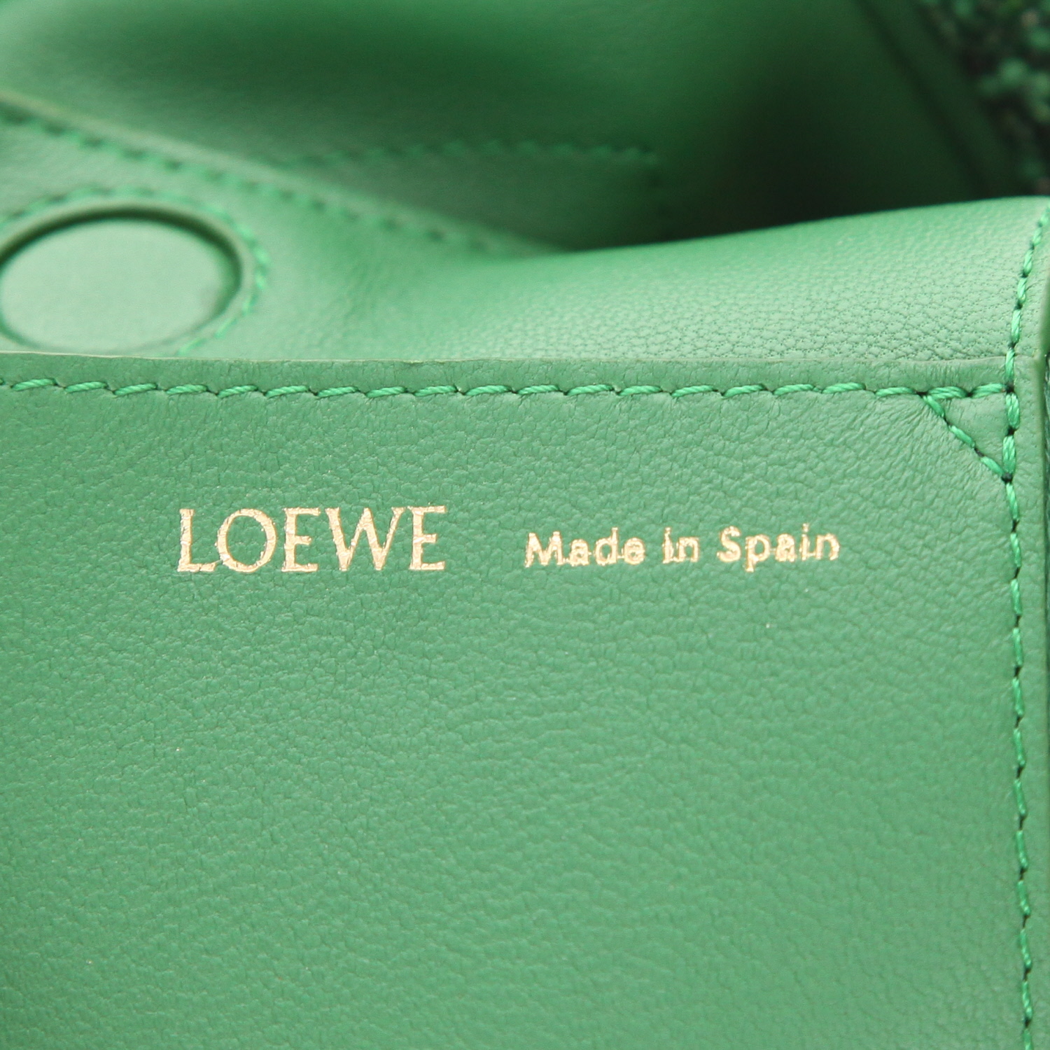 Borsa Loewe  Squeeze in pelle verde - Detail D2