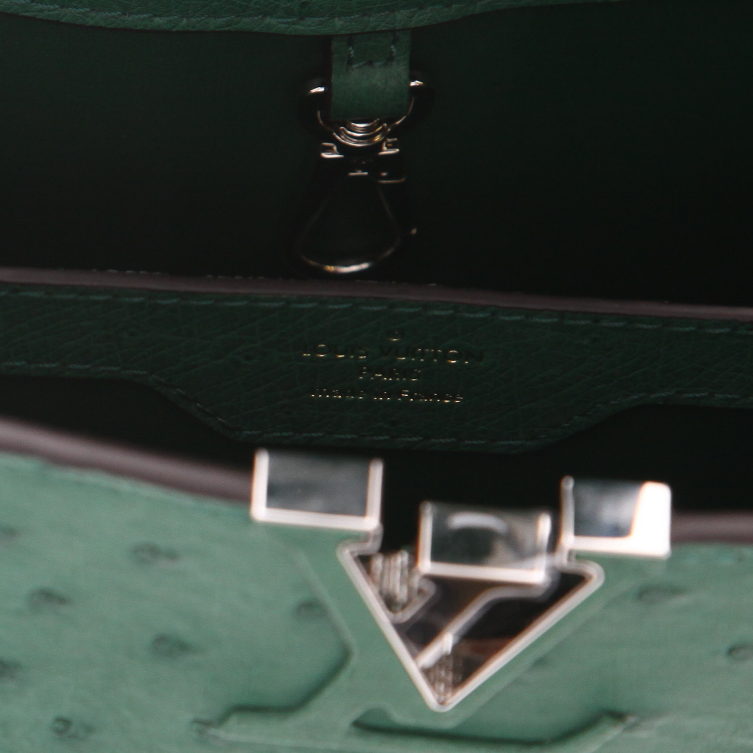 Louis Vuitton  Capucines BB handbag  in green ostrich leather - Detail D2