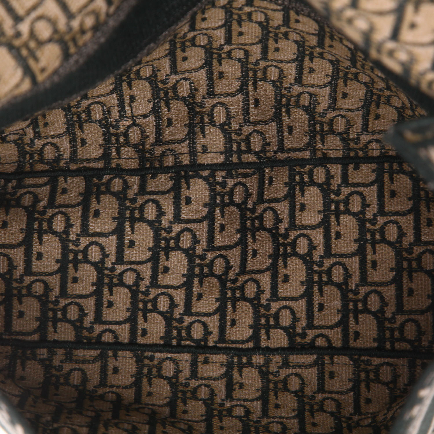 Dior  Diorcamp shoulder bag  in green monogram canvas Oblique - Detail D3