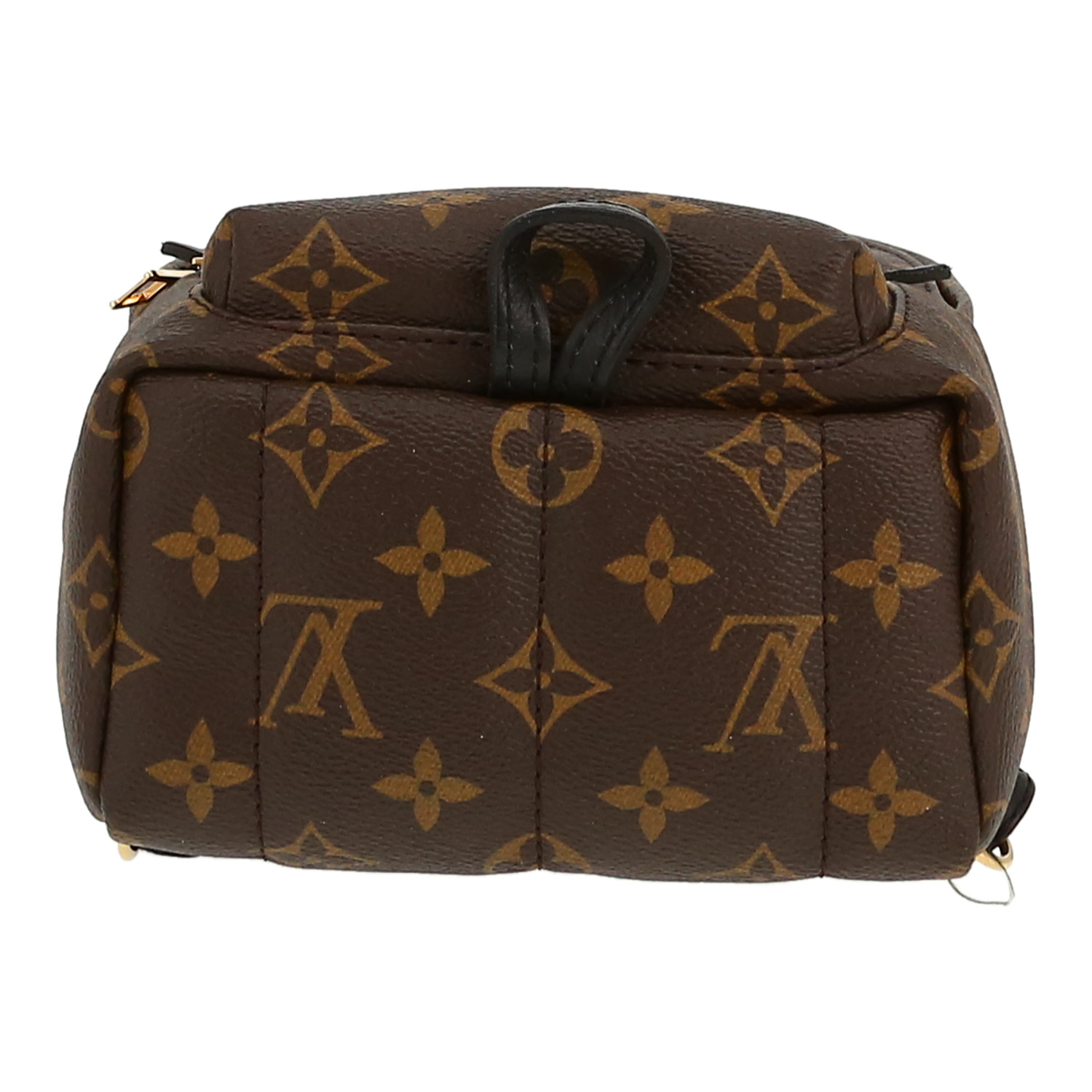 Louis Vuitton  Palm Springs Backpack Mini backpack  in brown monogram canvas  and black leather - Detail D1