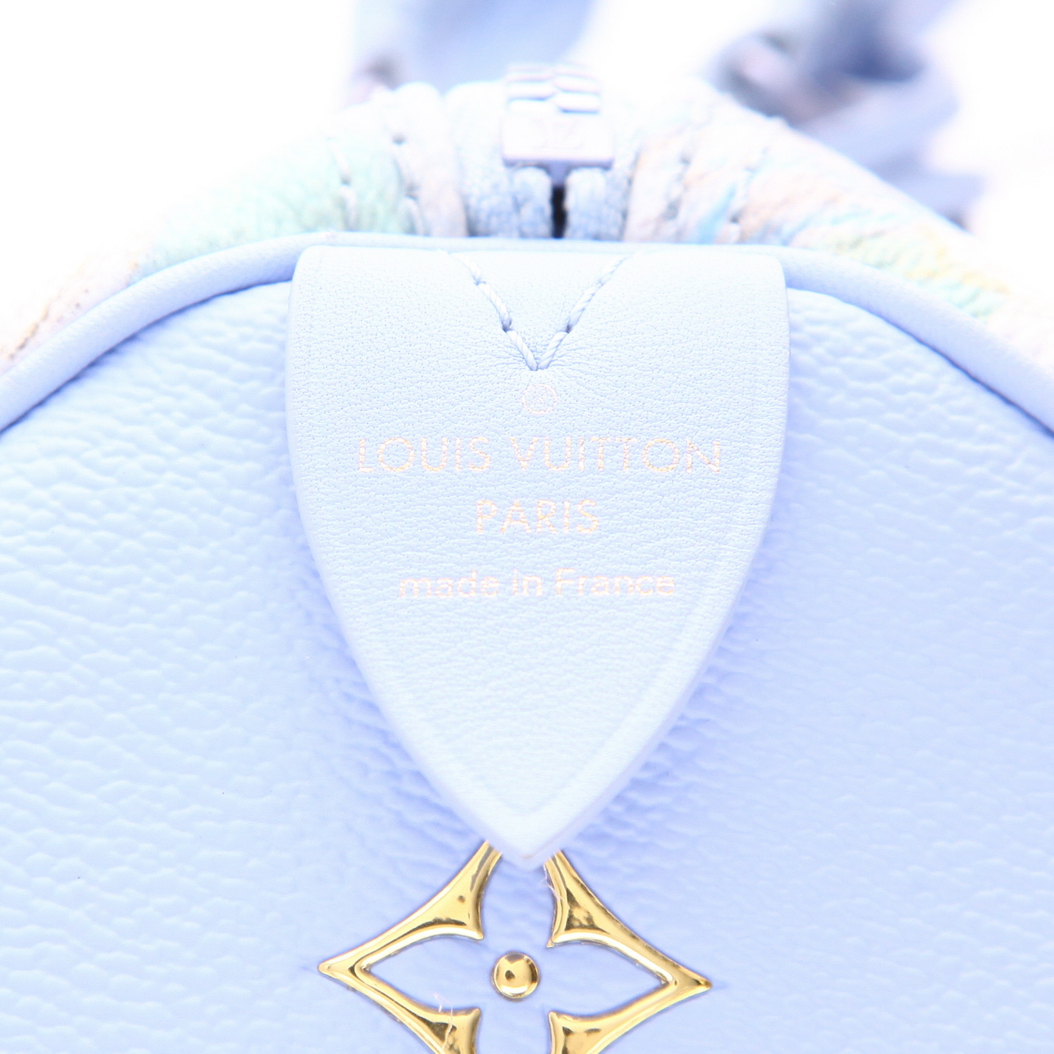 Sac à main Louis Vuitton  Edition limitée Jeff Koons "Van Gogh" en cuir bleu vert et jaune - Detail D2