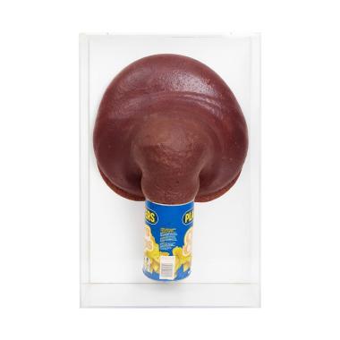 Cornchips expansion - 1970