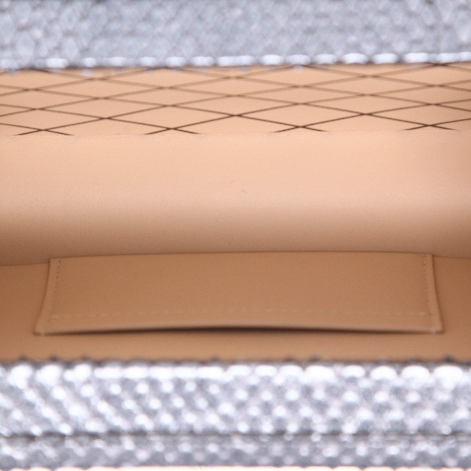 Louis Vuitton  Petite Malle shoulder bag  and silver python - Detail D3