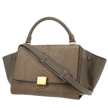 Bolso de mano Celine  Trapeze en cuero gris y piel de pitón color topo