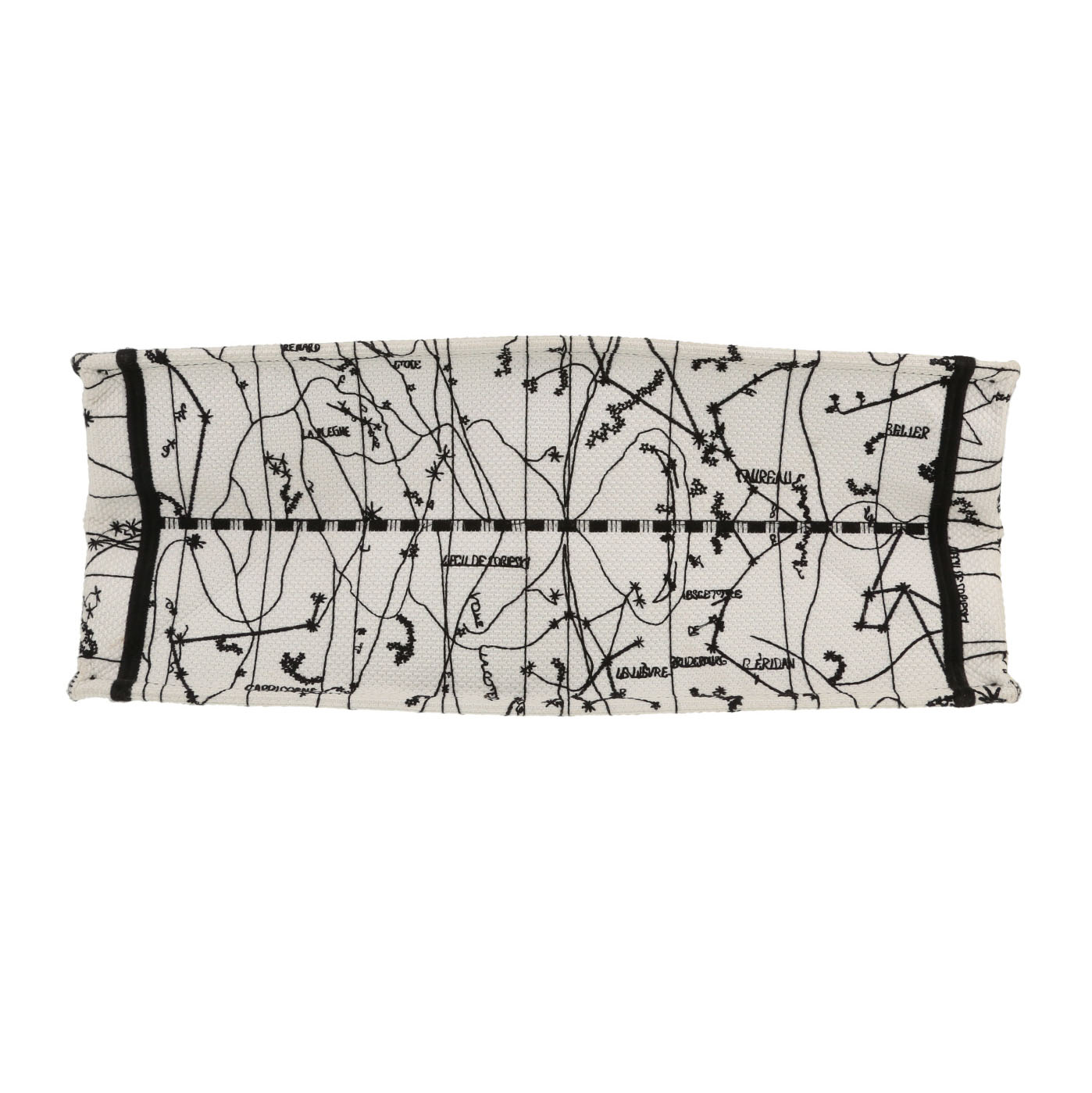 Bolso Cabás Dior  Book Tote en lona blanca y azul - Detail D1