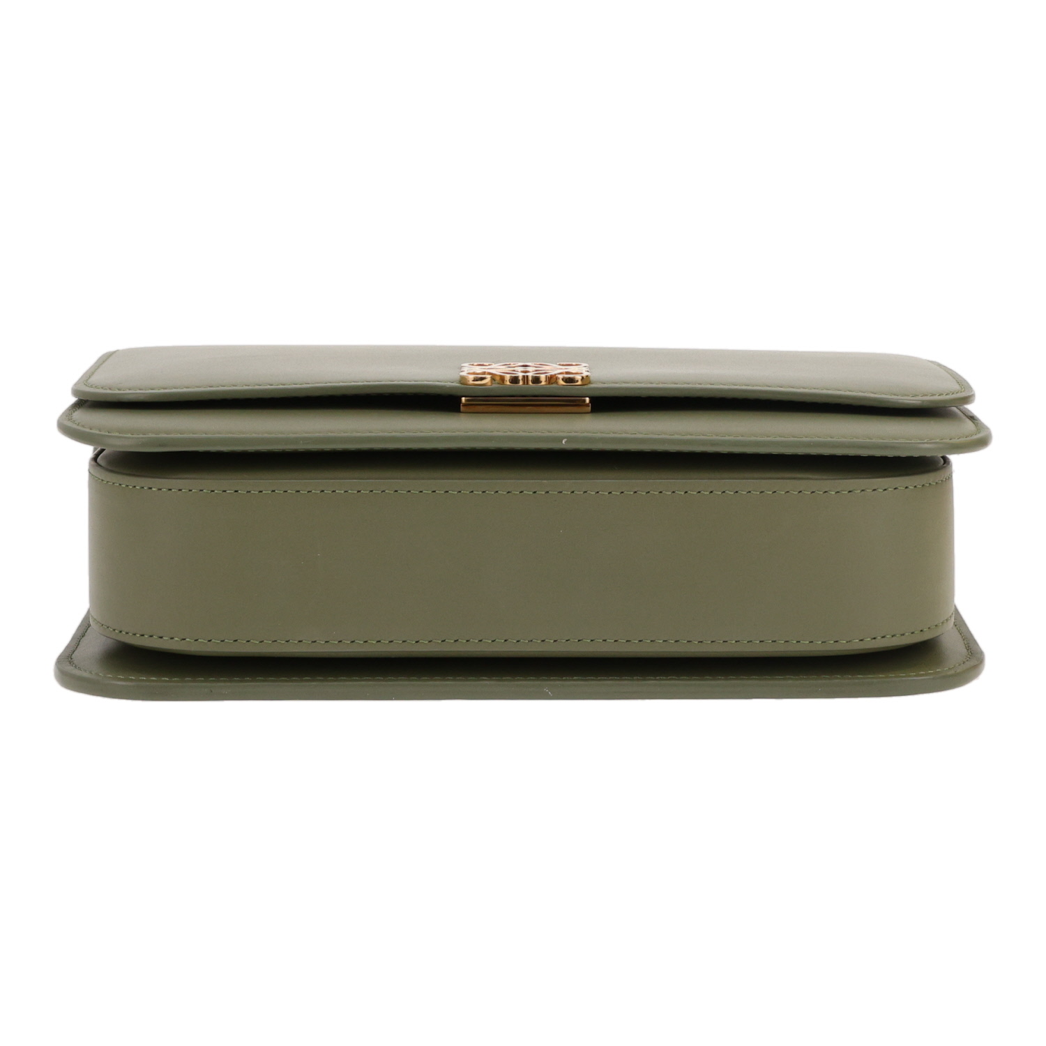 Borsa a tracolla Loewe  Goya in pelle verde Mandorla - Detail D1