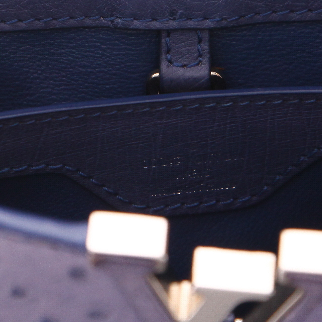 Louis Vuitton  Capucines handbag  in blue ostrich leather - Detail D2