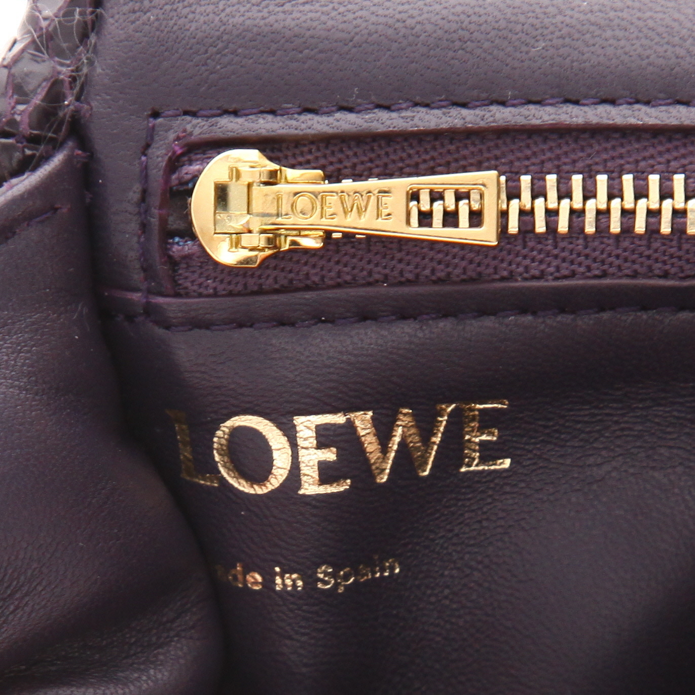Bolso bandolera Loewe  Goya en piel de pitón color berenjena - Detail D2