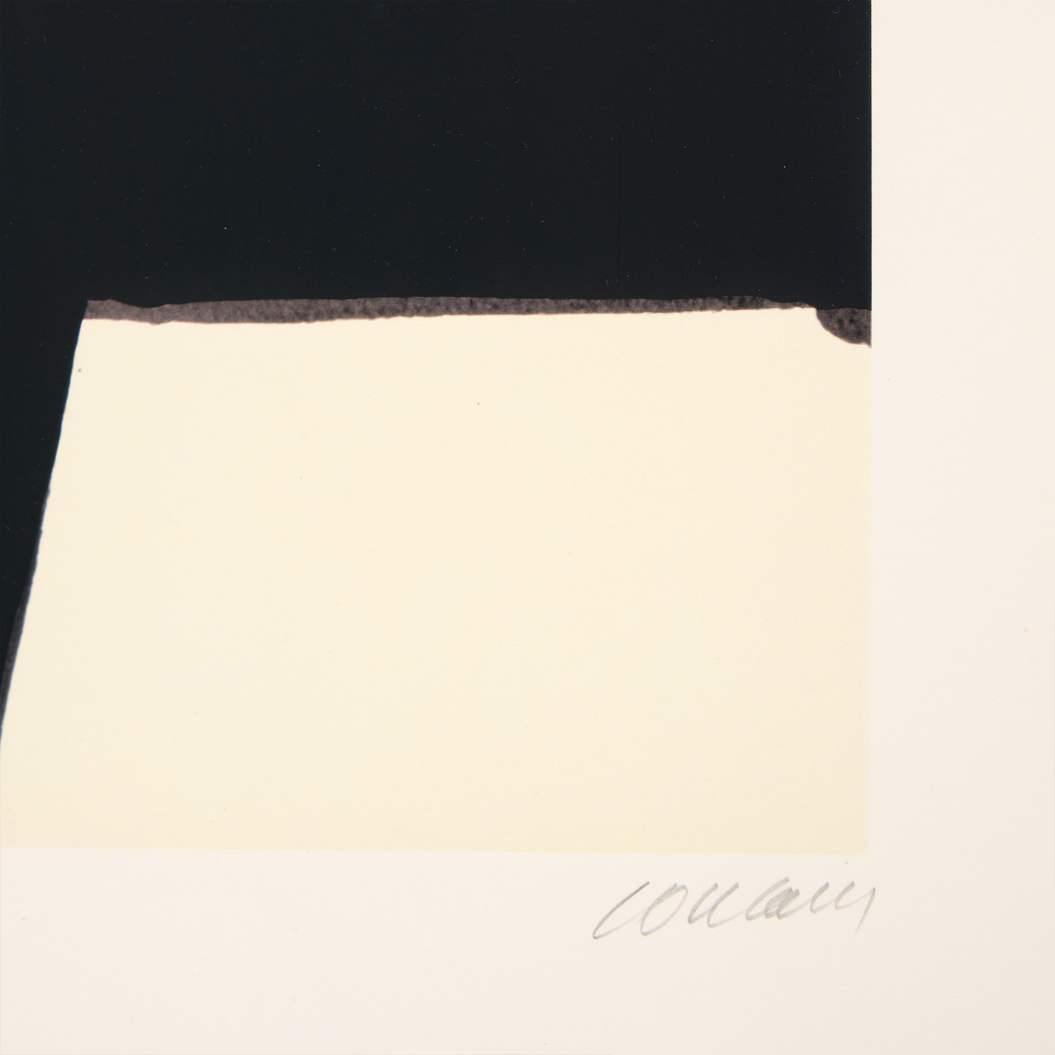 Sérigraphie N°21 - 1994 - Detail D4