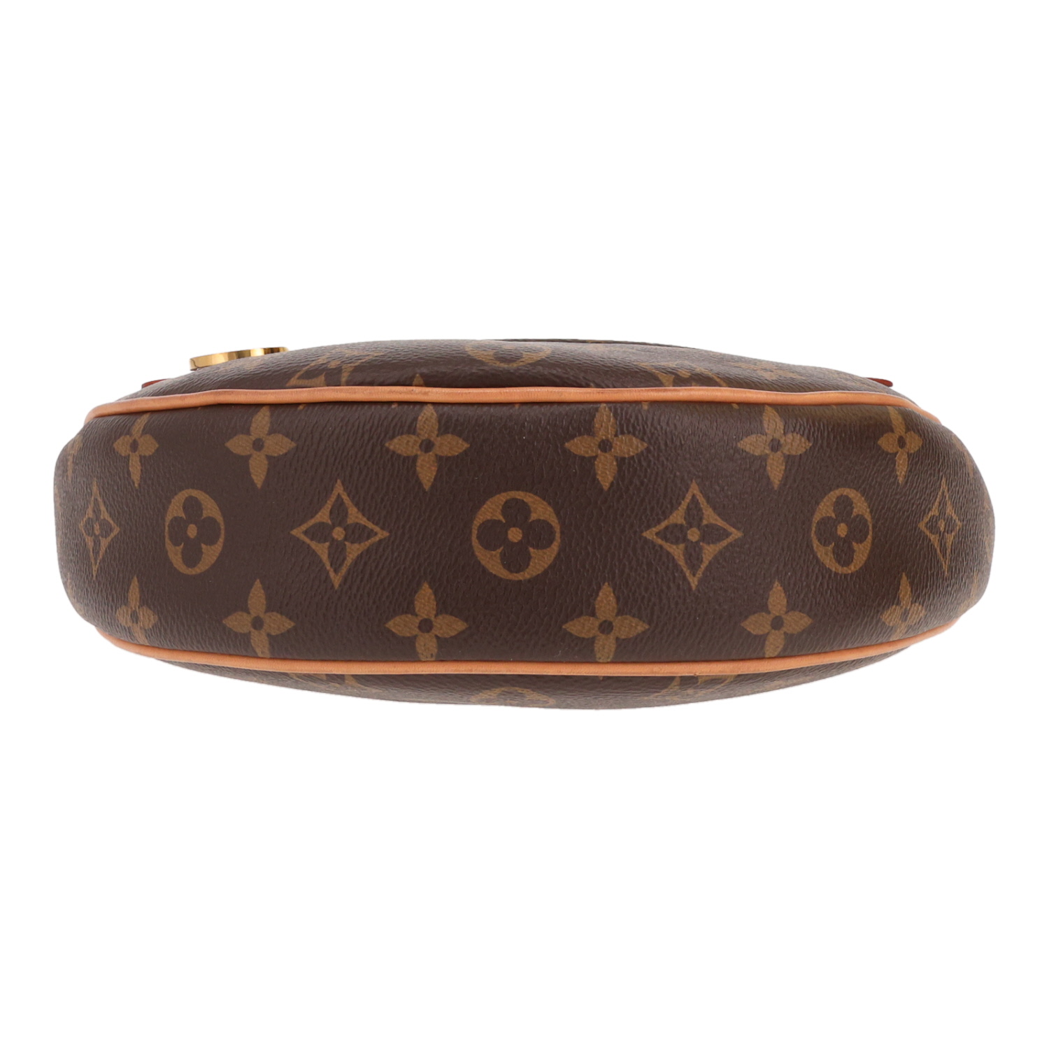 Louis Vuitton Loop Hobo handbag in brown Monogram canvas and natural leather - Detail D1