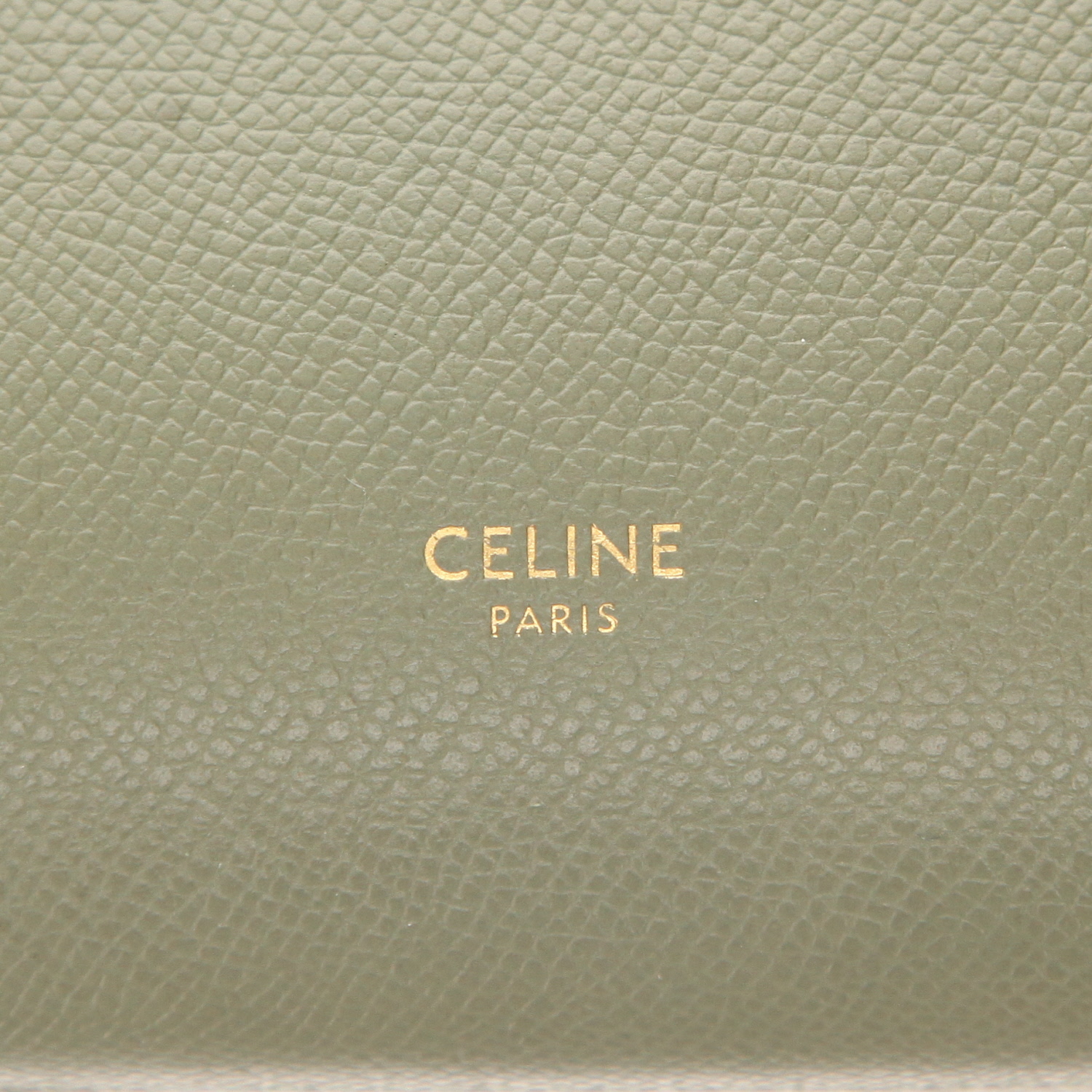 Bolso bandolera Celine Belt Nano de piel granulada verde - Detail D2