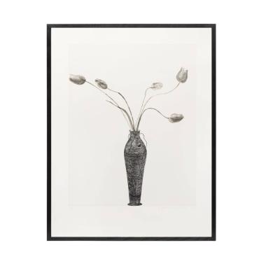 Tulips - 1973