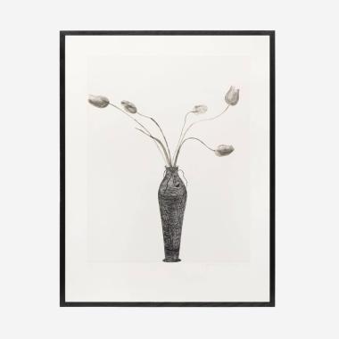 Tulips - 1973