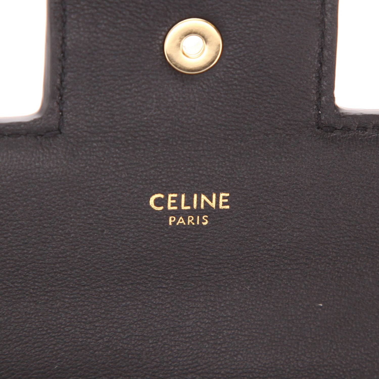Sac à main Celine  Maillon Triomphe en python marron - Detail D2