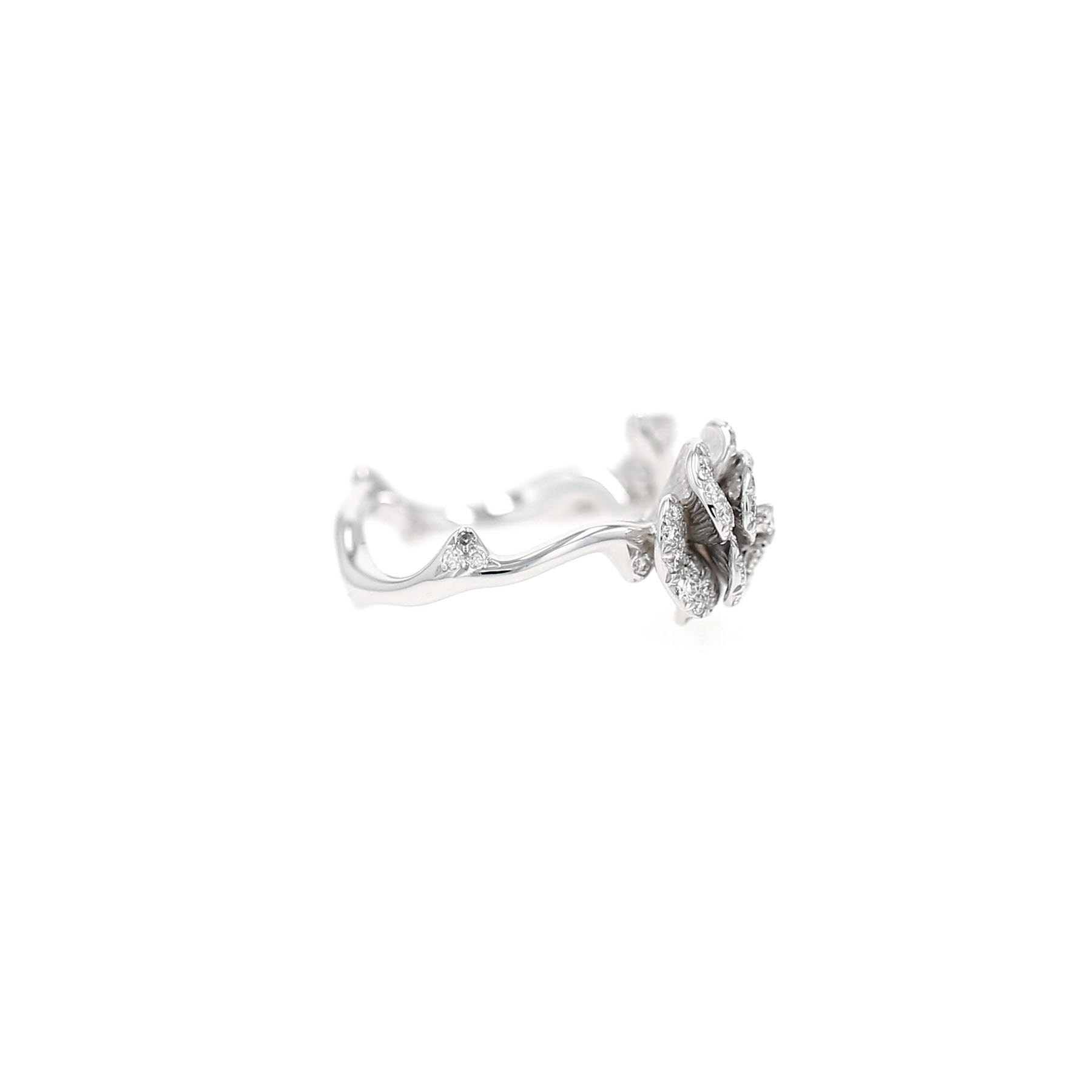 Dior Rose Dior Bagatelle ring in white gold and diamonds