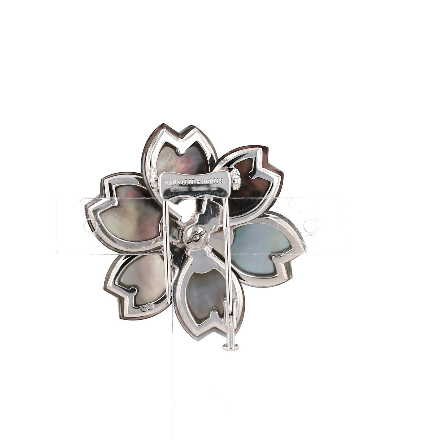 Van Cleef 
Arpels Rose de Noel medium model clip in platinium, white gold and mother of pearl, and diamonds